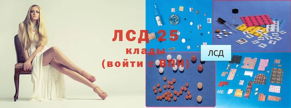 ПСИЛОЦИБИНОВЫЕ ГРИБЫ Белокуриха