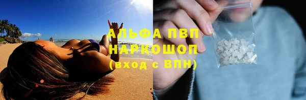 ПСИЛОЦИБИНОВЫЕ ГРИБЫ Белокуриха