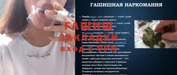 ПСИЛОЦИБИНОВЫЕ ГРИБЫ Белокуриха